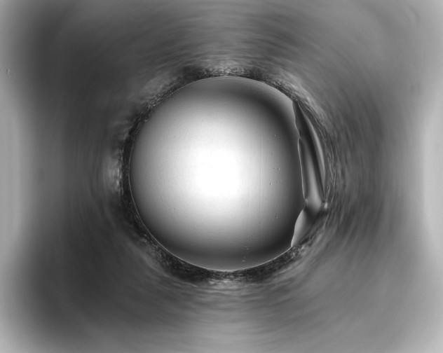 X0000096410259200801241226