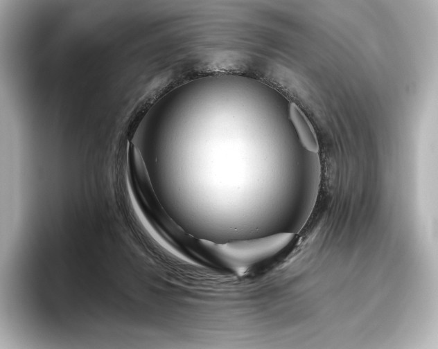 X0000096410260200801241226