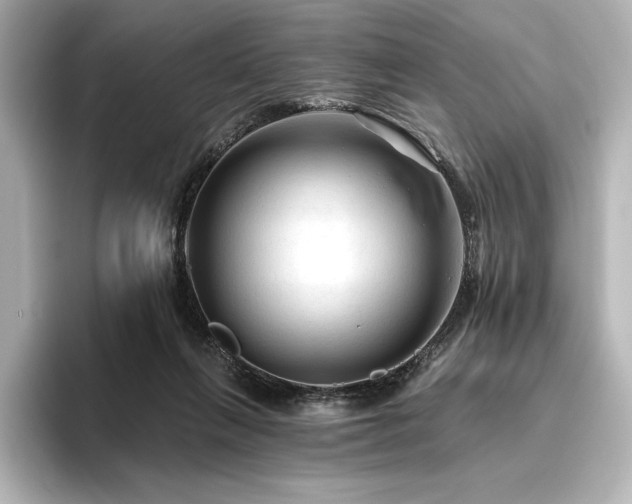X0000096410263200801241226