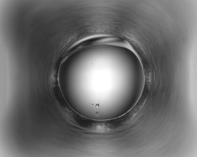 X0000096410264200801241226