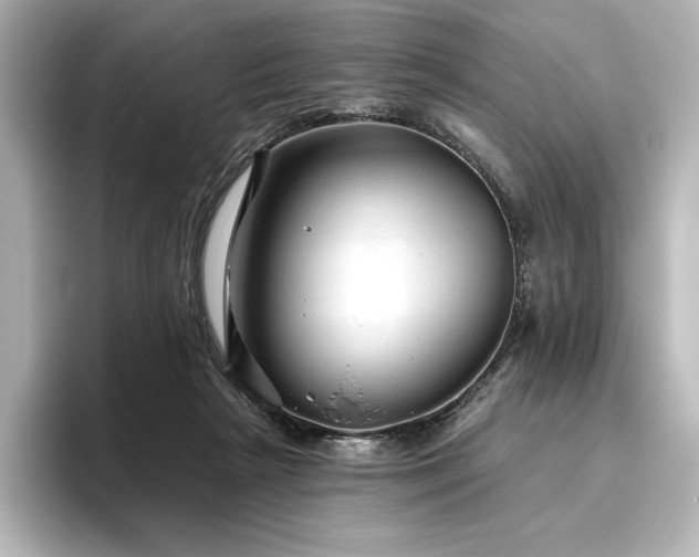 X0000096410265200801241226