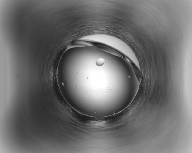 X0000096410266200801241226