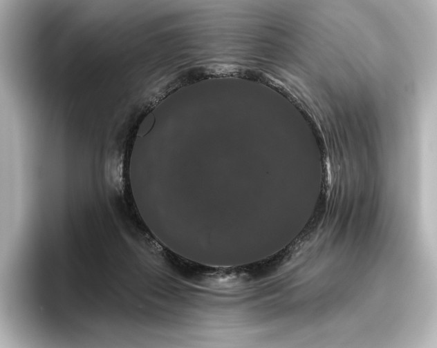 X0000096410267200801241226