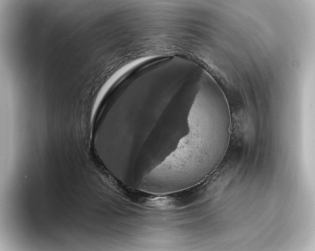X0000096410269200801241226