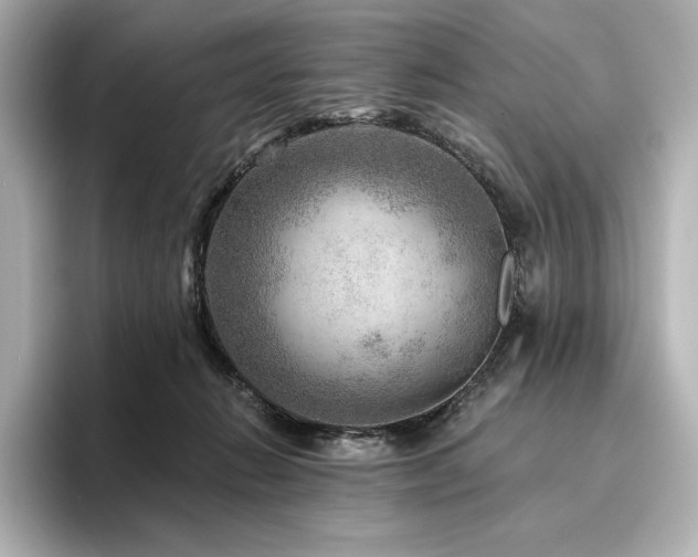 X0000096410270200801241226
