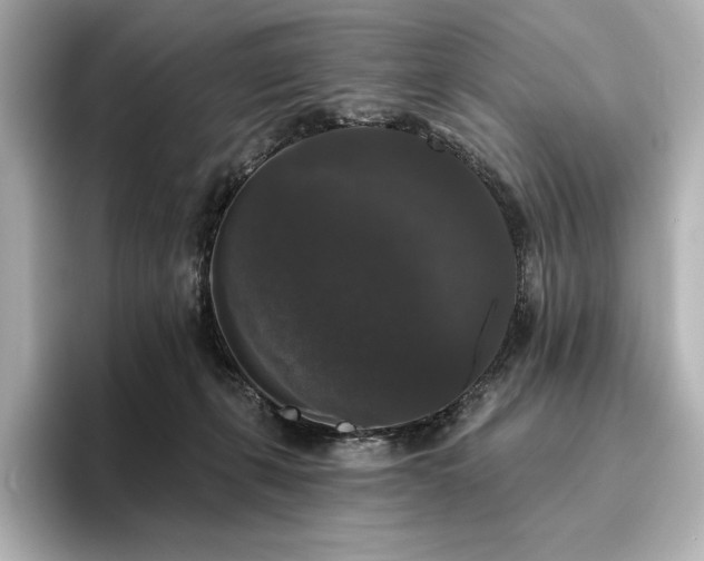 X0000096410271200801241227