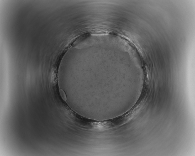 X0000096410273200801241227