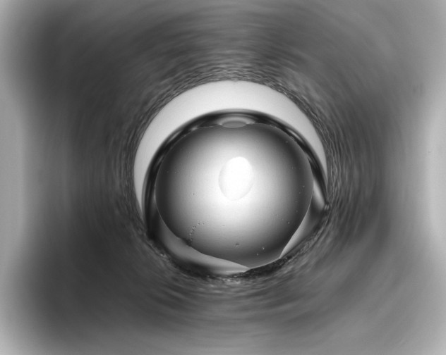X0000096410276200801241227