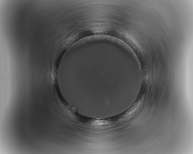 X0000096410277200801241227