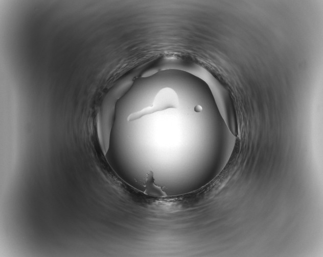 X0000096410280200801241227