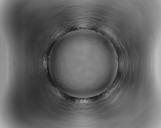 X0000096410282200801241227