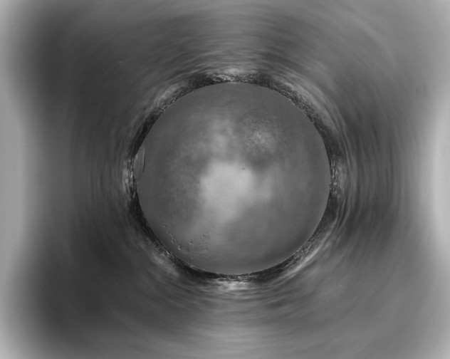 X0000096410284200801241227