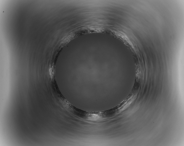 X0000096410285200801241227