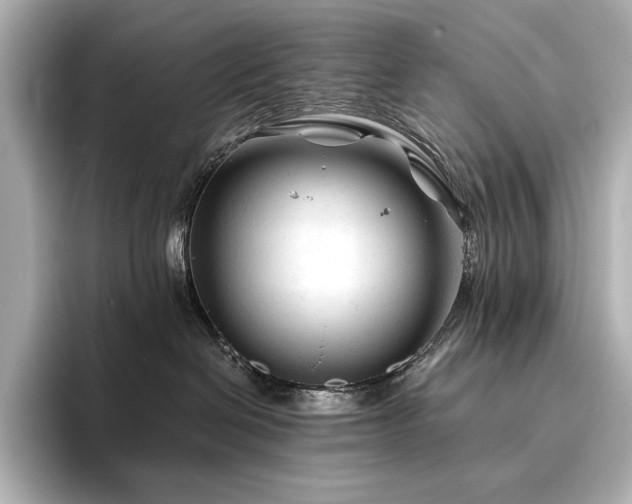 X0000096410286200801241227