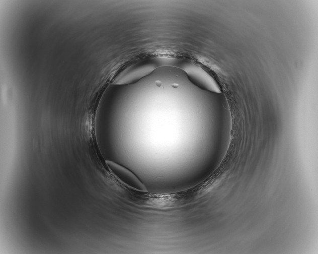 X0000096410288200801241227