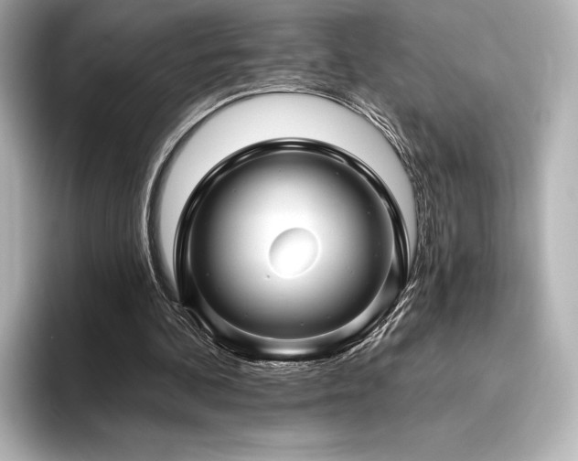 X0000096410292200801241226
