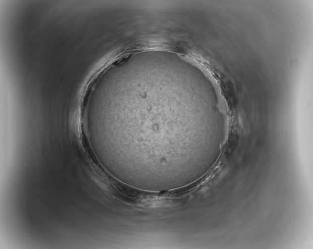X0000096410293200801241226