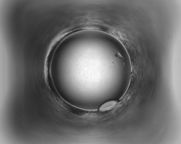 X0000096410294200801241226