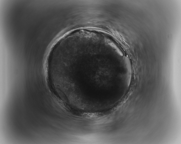 X0000096410295200801241226