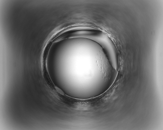 X0000096410296200801241226