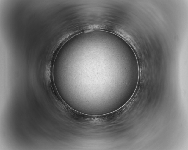X0000096410297200801241226