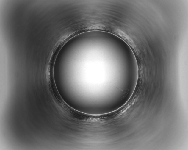 X0000096410298200801241226