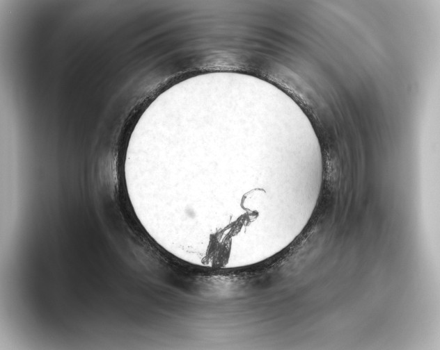 X0000096410302200801241226