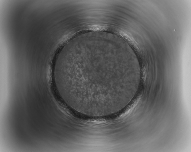 X0000096410303200801241226
