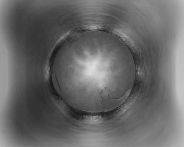 X0000096410304200801241226