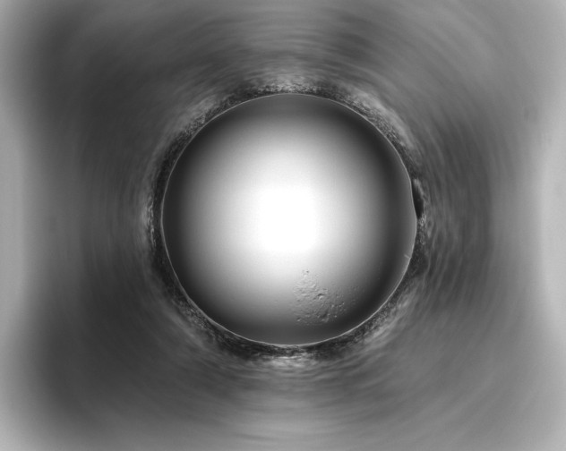 X0000096410306200801241226