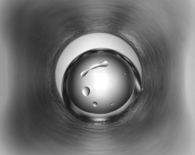 X0000096410308200801241226