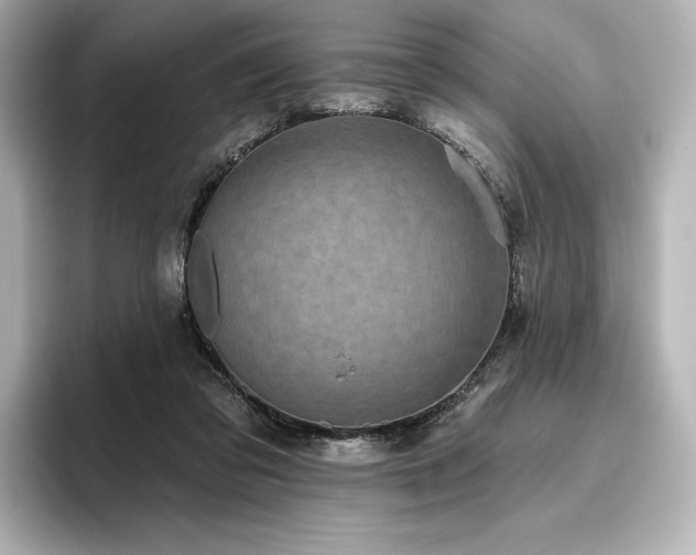 X0000096410309200801241226
