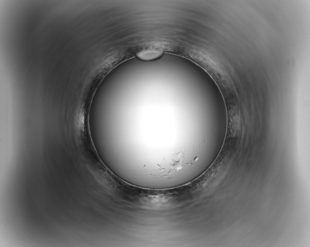 X0000096410310200801241226