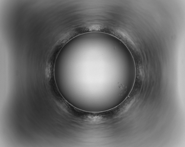 X0000096410311200801241226