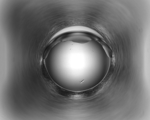 X0000096410312200801241226