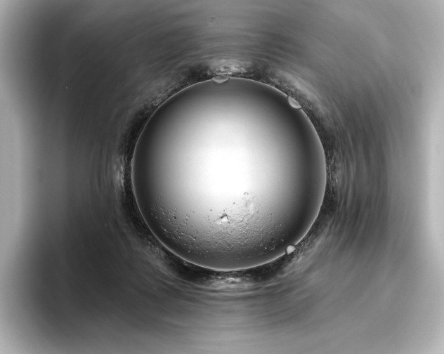 X0000096410315200801241226
