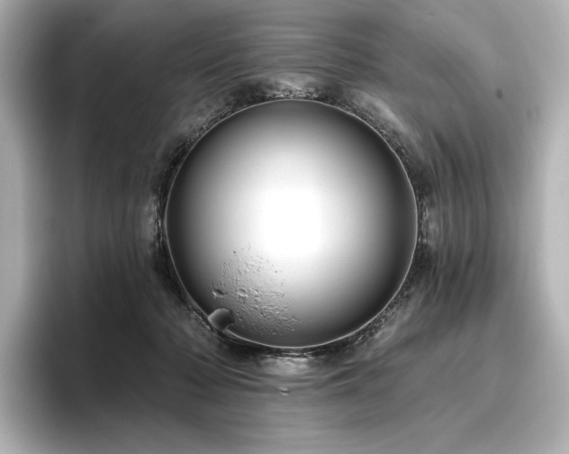 X0000096410318200801241226