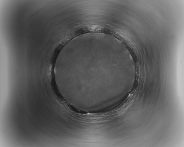 X0000096410319200801241226