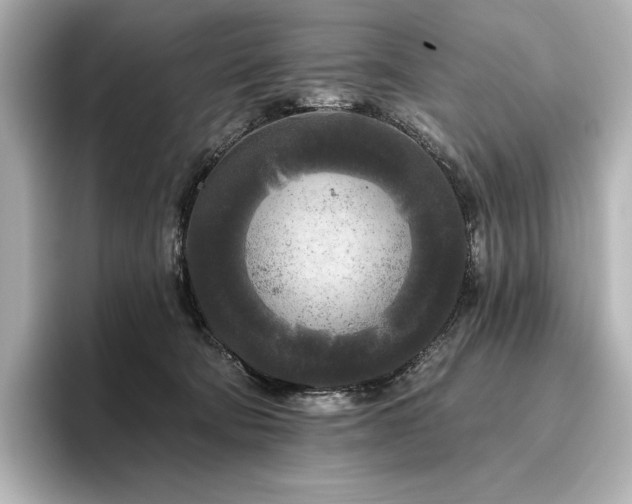 X0000096410322200801241226
