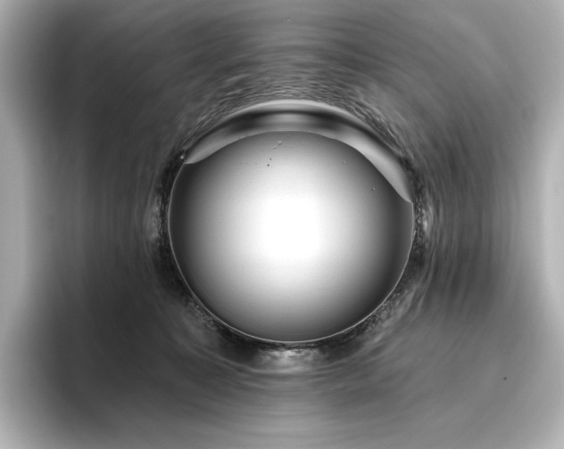 X0000096410323200801241226
