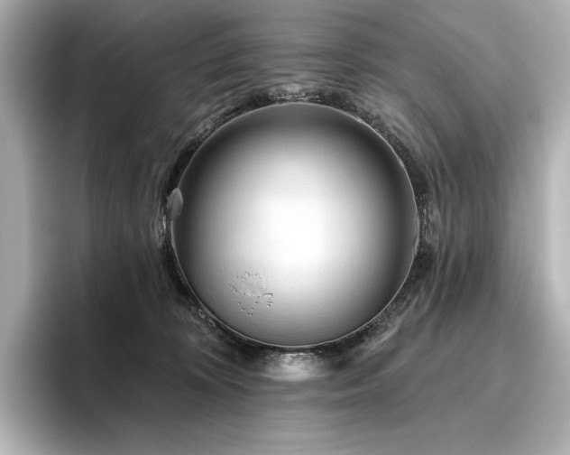 X0000096410324200801241226