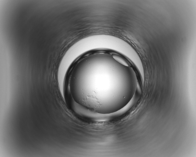 X0000096410325200801241226