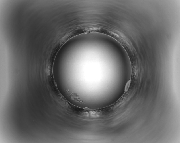 X0000096410326200801241226