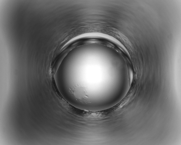 X0000096410329200801241226