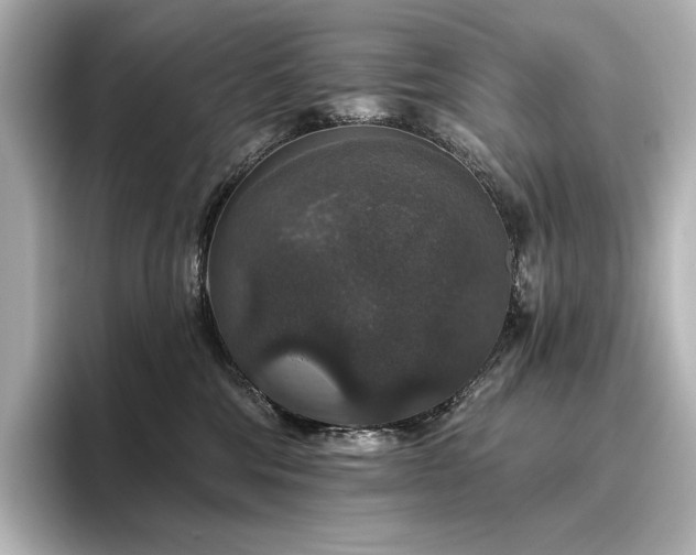 X0000096410330200801241226