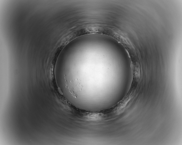 X0000096410332200801241226