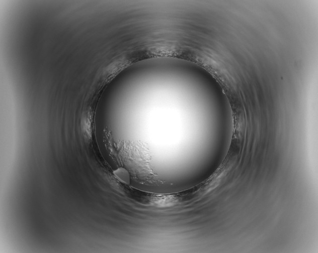 X0000096410334200801241226