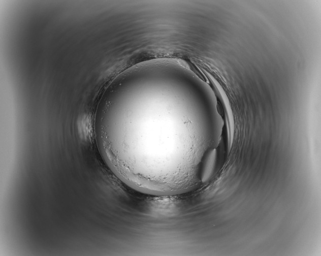 X0000096410335200801241226
