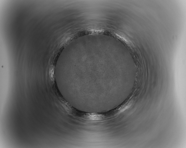 X0000096410336200801241225
