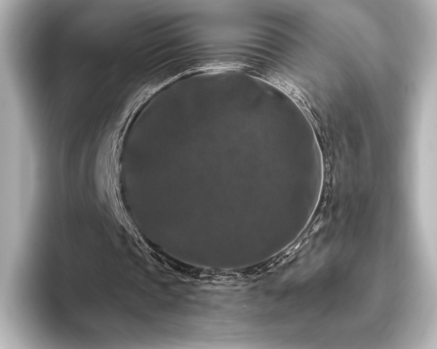 X0000096410337200801241225